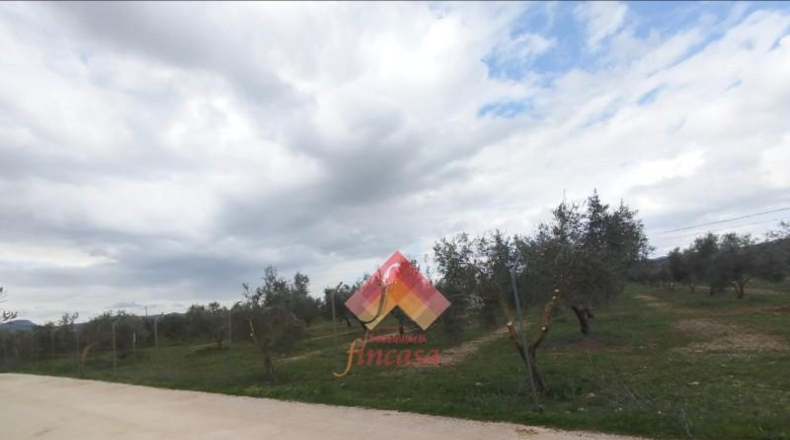 Малага - Arriate - 11000m2