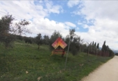 Xalet independent amb terreny en venda a la España, Arriate, ref.: TR291199 foto
