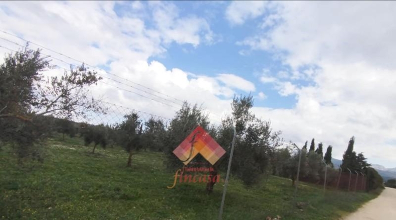 Малага - Arriate - 11000m2