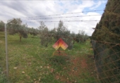 Xalet independent amb terreny en venda a la España, Arriate, ref.: TR291199 foto