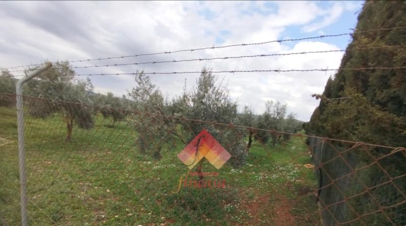 Малага - Arriate - 11000m2