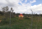 Xalet independent amb terreny en venda a la España, Arriate, ref.: TR291199 foto