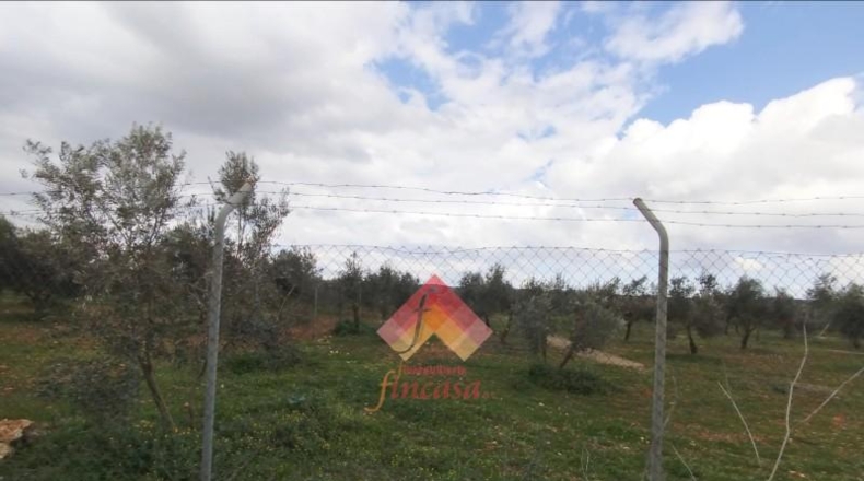 Малага - Arriate - 11000m2