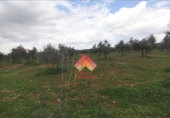 Xalet independent amb terreny en venda a la España, Arriate, ref.: TR291199 foto