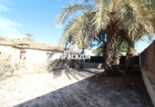 Casa de camp amb terreny en venda a la España, Catral, ref.: TR292823 foto