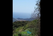 Country house with land for sale on España, Almuñécar, ref: TR284362 photo