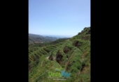 Country house with land for sale on España, Almuñécar, ref: TR284362 photo