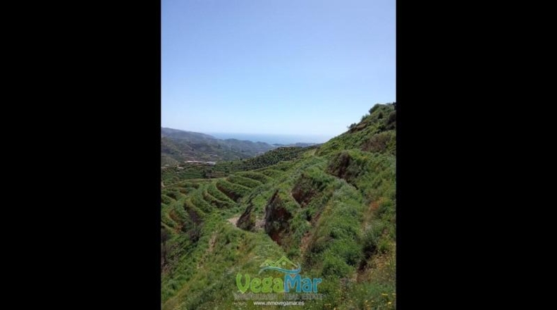 Granada - Almuñécar - 4300m2