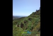Country house with land for sale on España, Almuñécar, ref: TR284362 photo