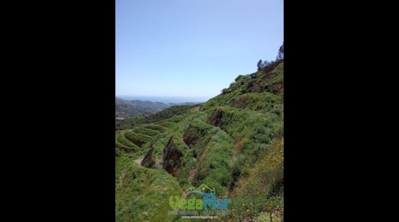 Granada - Almuñécar - 4300m2