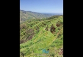 Country house with land for sale on España, Almuñécar, ref: TR284362 photo