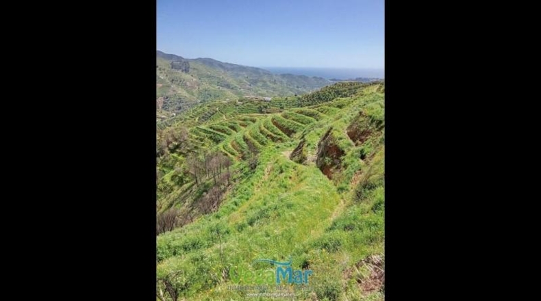 Granada - Almuñécar - 4300m2