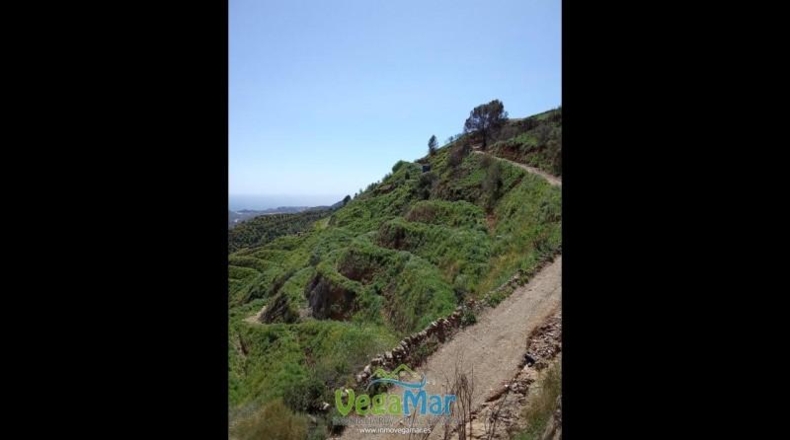 Granada - Almuñécar - 4300m2