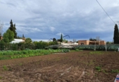 Parcel·la urbanitzable en venda a la España, Lucena, ref.: TR243222 foto