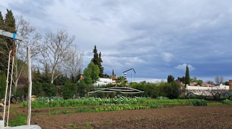 Córdoba - Lucena - 1000m2