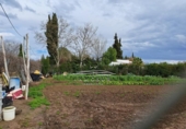 Parcel·la urbanitzable en venda a la España, Lucena, ref.: TR243222 foto