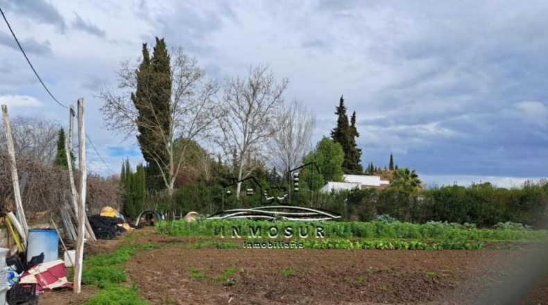 Córdoba - Lucena - 1000m2