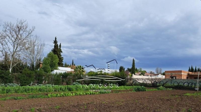 Córdoba - Lucena - 1000m2