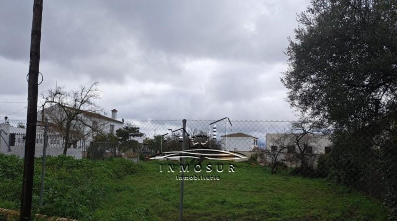 Córdoba - Lucena - 1000m2