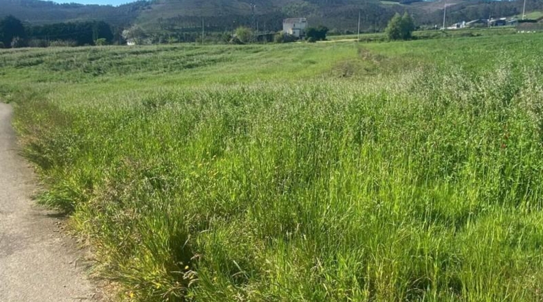 Asturias - Coaña - 2000m2