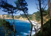 Land suitable for development for sale on España, Coaña, ref: TR243223 photo