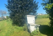 Land suitable for development for sale on España, Coaña, ref: TR243223 photo