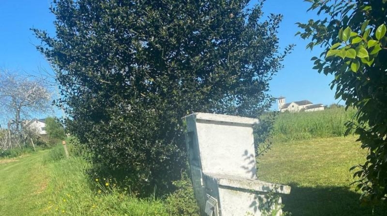 Asturias - Coaña - 2000m2