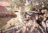 Casa de poble en venda a la España, Villanueva de Córdoba, ref.: TR287413 foto