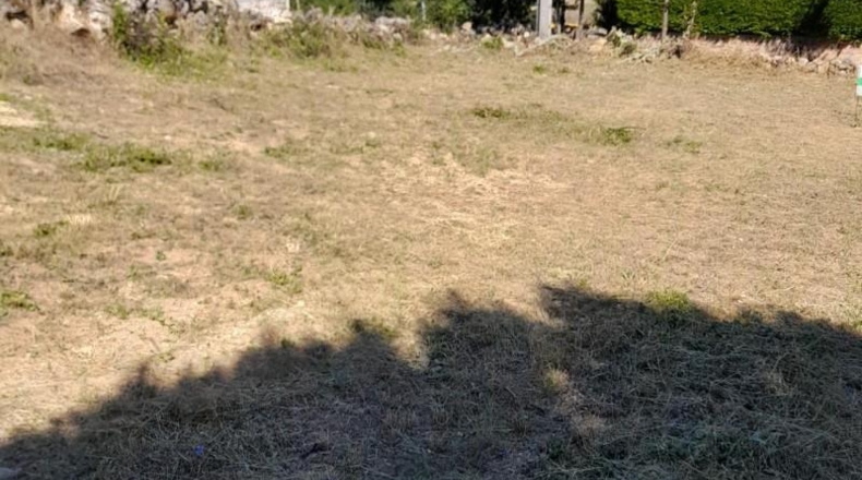 Biscay - Baracaldo - 600m2