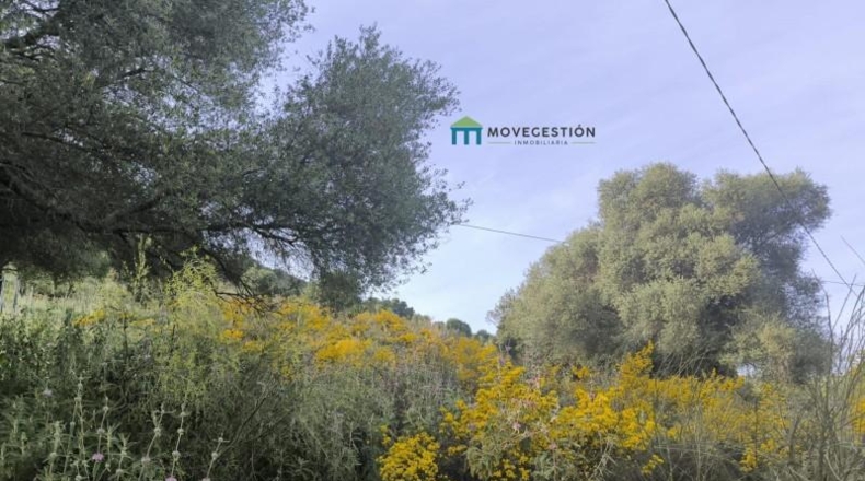 Cádiz - Ubrique - 3000m2
