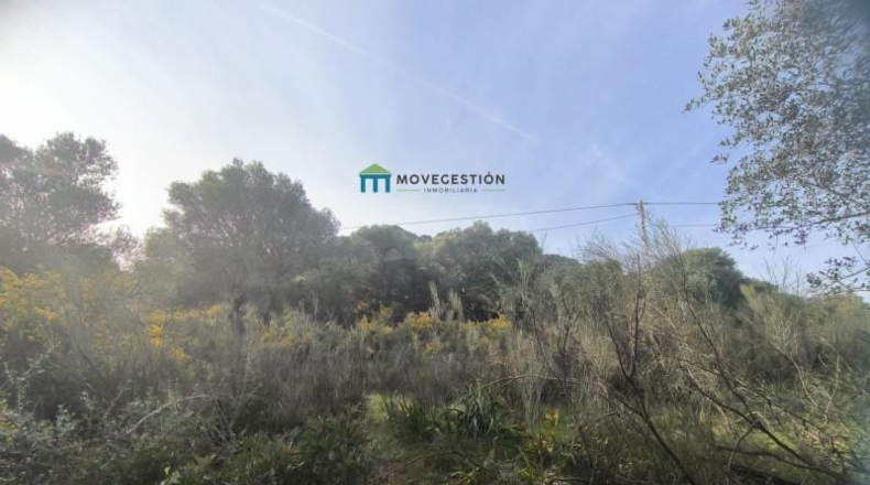 Cádiz - Ubrique - 3000m2