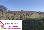 Terreny no urbanitzable en venda a la España, Sanlúcar de Barrameda, ref.: TR218466 foto