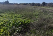 Terreny no urbanitzable en venda a la España, Sanlúcar de Barrameda, ref.: TR218466 foto