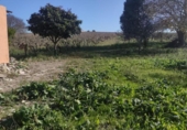 Terreny no urbanitzable en venda a la España, Sanlúcar de Barrameda, ref.: TR218466 foto