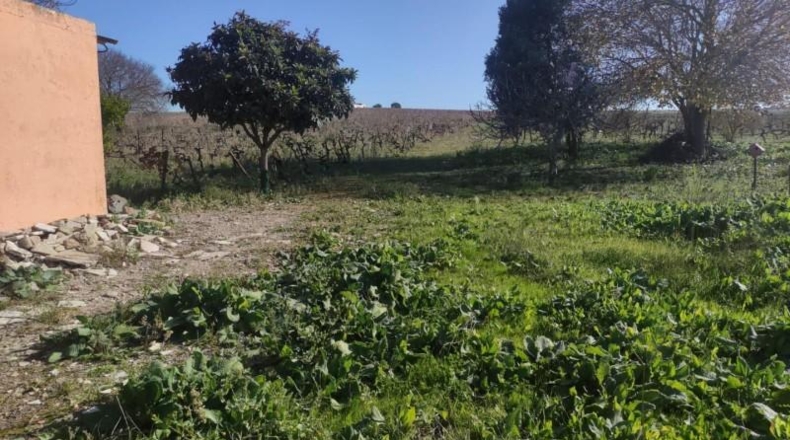 Cádiz - Sanlúcar de Barrameda - 12500m2