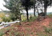 Parcel·la urbanitzable en venda a la España, Sant Llorenç Savall, ref.: TR351692 foto