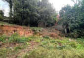 Parcel·la urbanitzable en venda a la España, Sant Llorenç Savall, ref.: TR351692 foto