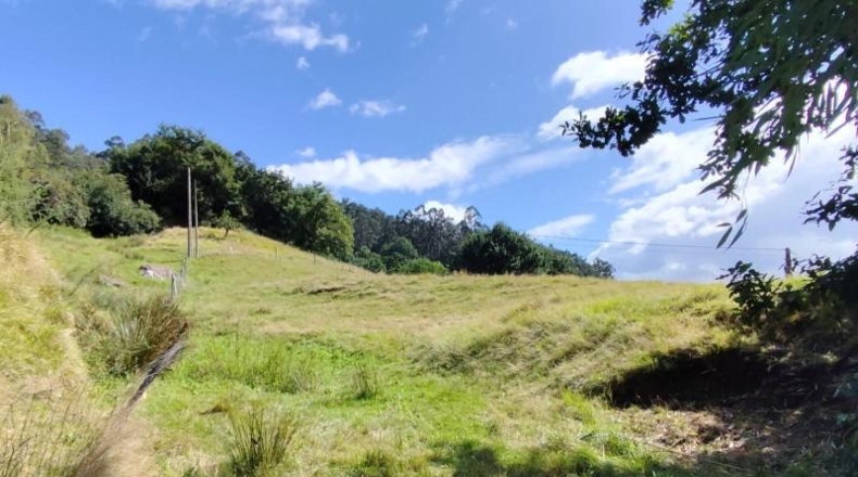 Cantabria - Socobio - 5400m2