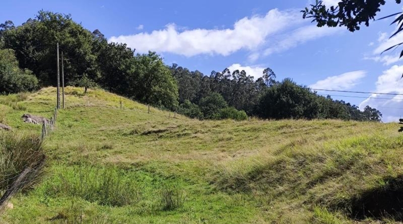 Cantabria - Socobio - 5400m2