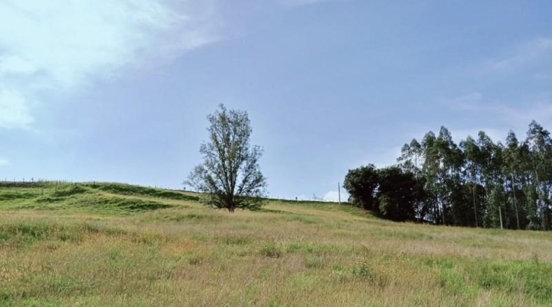Кантабрия - Villafufre - 162m2