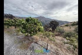 Granada 7000&nbsp;m² 