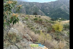 Granada 7000&nbsp;m² 