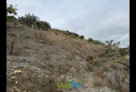 Granada 7000&nbsp;m² 