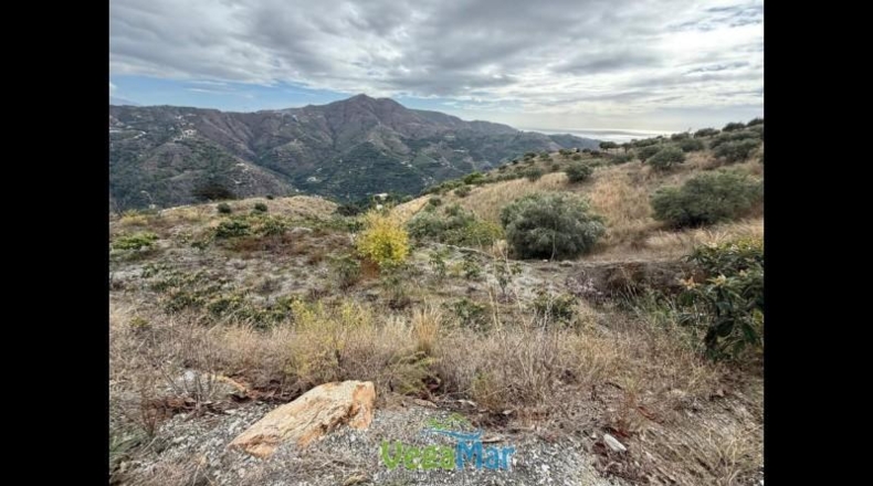 Granada - Альмуньекар - 7000m2