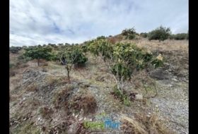 Granada 7000&nbsp;m² 