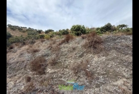 Granada 7000&nbsp;m² 