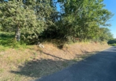Terreno no urbanizable en venta en la España, Esgos, ref: TR219071 foto