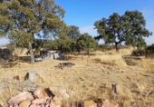 Sòl urbà en venda a la España, Buenavista, ref.: TR362705 foto