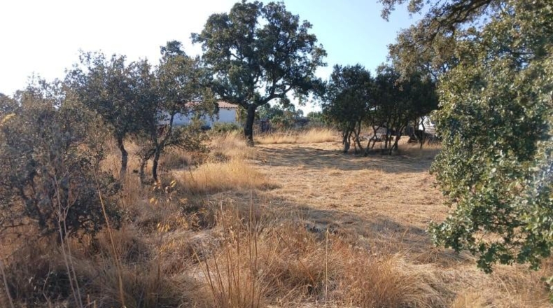 Zamora - Benavente - 1148m2