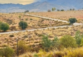 Land suitable for development for sale on España, San Bartolomé de Tirajana, ref: TR362725 photo